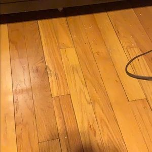 Meet your Posher, Ronald